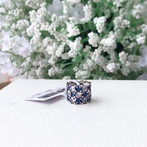 Blue and Clear Sparkle Charm